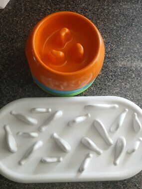 4 Slow Feeder Dishes 😻